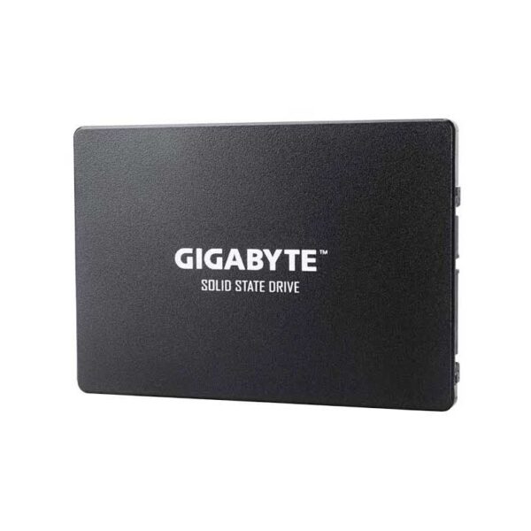 Unidad en estado solido Gigabyte GP-GSTFS31240GNTD